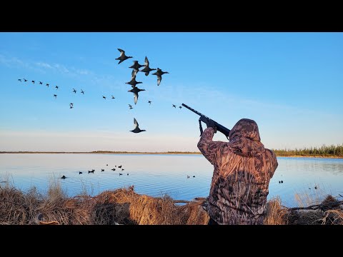ОХОТА НА ТУРПАНА ВСЕ СЕРИИ. КОЛЫМА 2023. HUNTING FOR VELVET SCOTER IN SIBERIA. KOLYMA. ALL SERIES