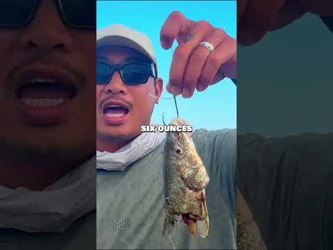Testing my 11ft Travel Rod on BIG fish in TEXAS 😳🔥 #fishing