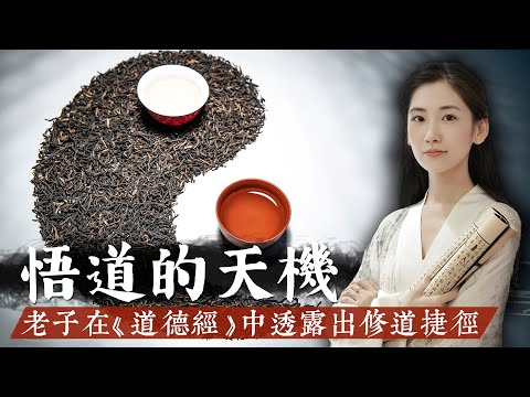 老子在《道德經》中說，這世間有一樣最平凡的東西最接近道，學習它的氣質就能悟道！【無有淺談】