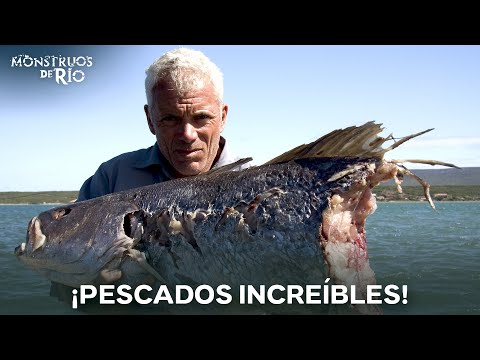 Momentos de Pesca INOLVIDABLES | T2 | Monstruos de río