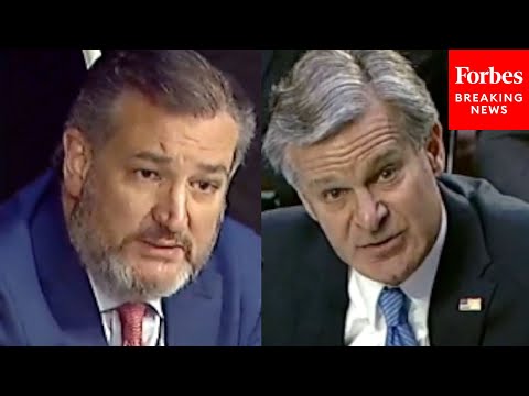 'Director Wray, What Are Y'all Doing?': Ted Cruz Confronts FBI Chief