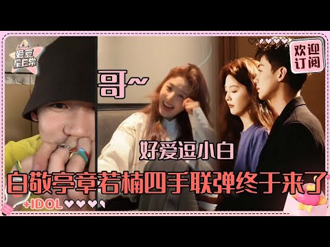 [MultiSub]白敬亭章若楠四手联弹来了！i人小白简直是e人若楠的玩具 线上嗨歌小白的脸越唱越红#白敬亭 #章若楠 #难哄 #桑延 #温以凡 #爱豆星日常 #cp