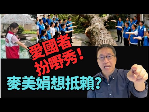 #潘焯鴻：「愛國者」關愛隊擺拍手指指！麥美娟嬲嬲豬！