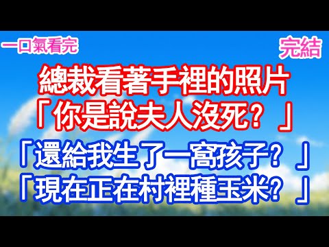 總裁看著手裡的照片「你是說夫人沒死？」「還給我生了一窩孩子？」「現在正在村裡種玉米？」#愛情#甜寵文#爽文#故事分享