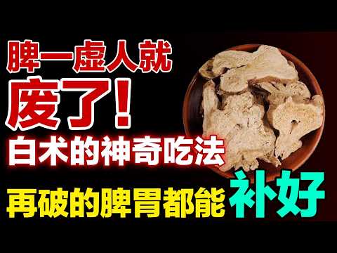 脾一虚人就废了!白术的神奇吃法,再破的脾胃都能补好#健康大诊室