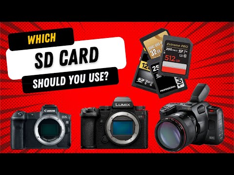 Understanding V30, V60, V90 SD Cards and more: Essential Tips for Camera Users in 2023