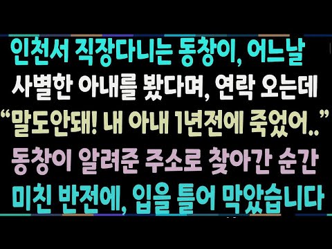 반전신청사연인천에서 직장 다니는 동창이, 1년전에 세상을 떠난 아내를 봤다고 해 찾아갔더니, 상상못할 광경을 목격하는데 신청사연사이다썰사연라디오