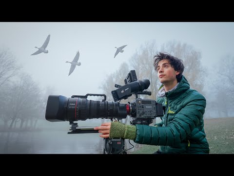Relaxing Bird Filmmaking: Foggy Morning at a Lake