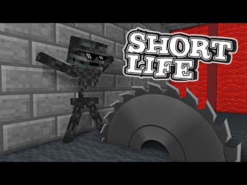 SHORT LIFE CHALLENGE | Platabush Animation