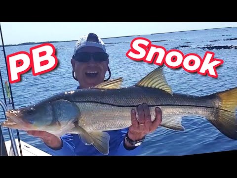 My Biggest Snook on a handmade topwater lure #SnookFishing #HandmadeLures