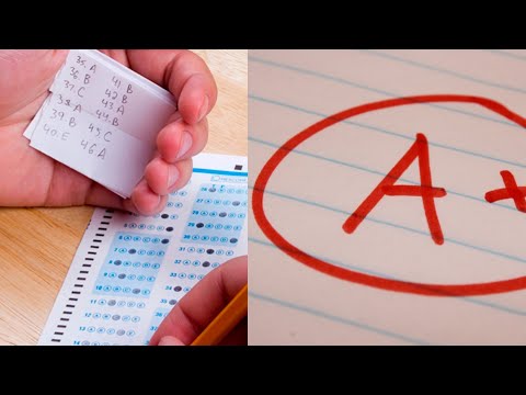 Why You Should Cheat In School