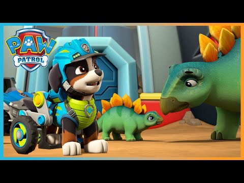 Chase Saves a Silly Squid from a Museum +more! | PAW Patrol | Cartoons for Kids ⭐️2H Compilation