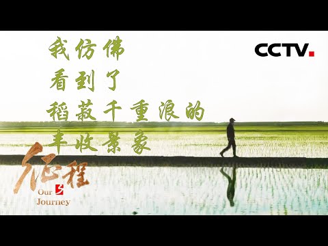 农机工程师建设“无人农场”,给农业插上科技的翅膀 第6集 粮丰安天下 | CCTV「征程」