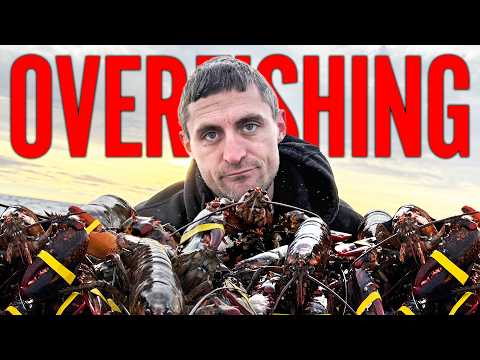 The media is LYING to you about Maine's $1 billion lobster industry