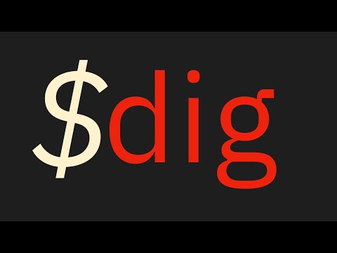 dig: A Practical Guide