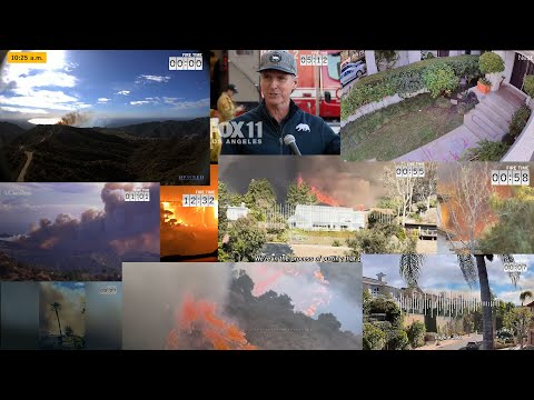 Escape from the Palisades: Split-second decision making, confusing responses