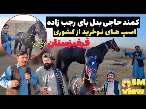 گزارش از کمندی حاجی  صاحب بدل بای رجبزاده |اسپ های نوخرید از کشور قرغیزستان