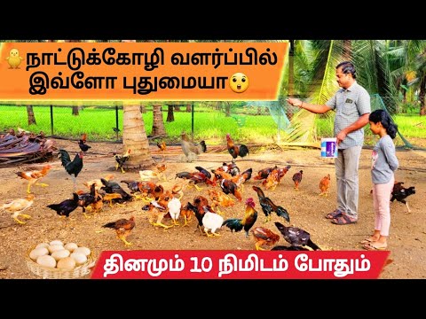 🐔👌🏻அதிக லாபம் !! சர சரனு வளரும் நாட்டுக்கோழி | Country Chicken Farming | Pudhumai Sei | Tamil Vlog