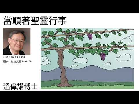當順著聖靈行事   溫偉耀博士