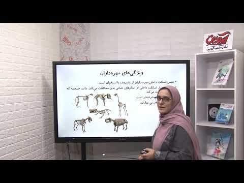 تدریس کامل فصل 14 علوم نهم زیست شناسی مهره داران استاد صحرانورد