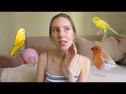 ДОМАШНИЕ ПТИЦЫ [канарейка] | какую купить, что делать