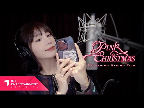 (SUB) Apink 에이핑크 'PINK CHRISTMAS' Recording Making Film