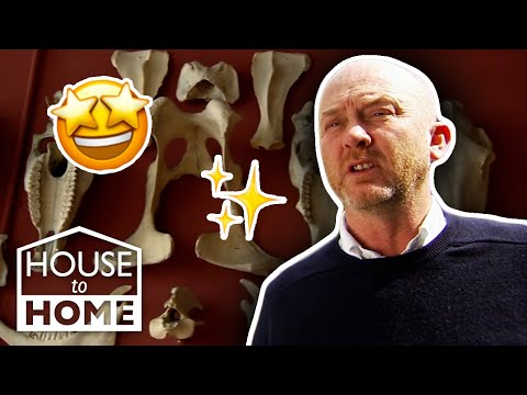 Finding Overlooked Victorian Artefacts π | Hunting For Treasure | Salvage Hunters | House to Home