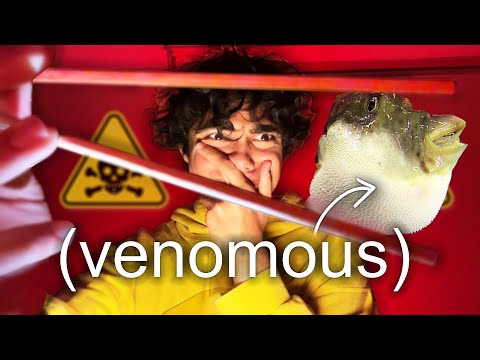 if i laugh i eat... THIS