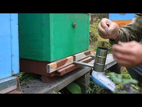 Продолжаю травить клеща.