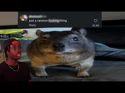 How This Became the Most Disrespected Animal of 2026