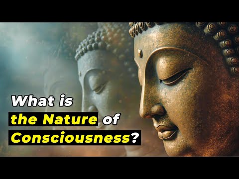 What is the Nature of Consciousness? Buddhism's Answer