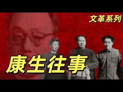 文化大革命183，康生的盛大葬礼，康生与毛泽东一家的纠葛，从毛岸英，毛岸青兄弟到江青的崛起，康生和师哲，杨尚昆的之间的关系#中共#文革#文化大革命#毛泽东#周恩来