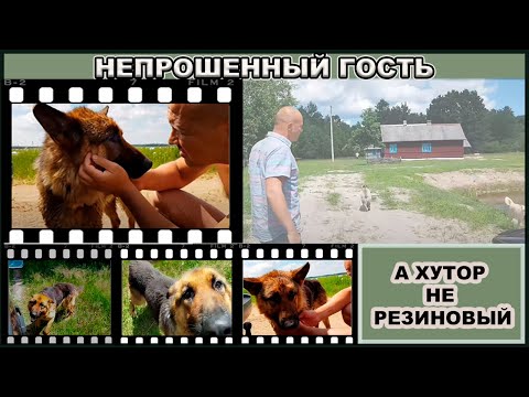 Дик.Iчасть.Непрошенный гость.А хутор не резиновый! Все на свете сбывается.