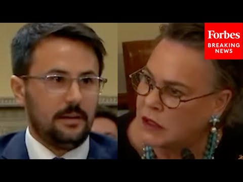 WATCH: Harriet Hageman Laughs In The Face Of Key Biden Official During Hearing