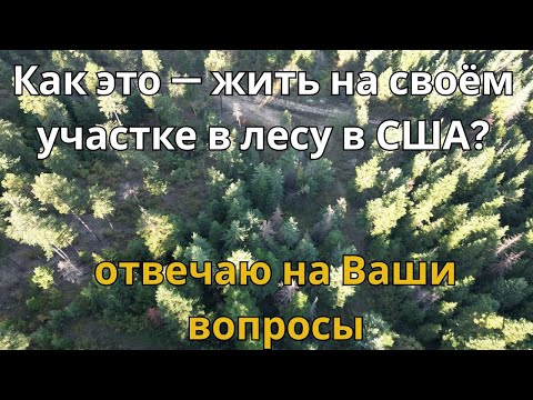 Сколько стоит земля и как жить в лесу в США. Отвечаю на ваши вопросы.