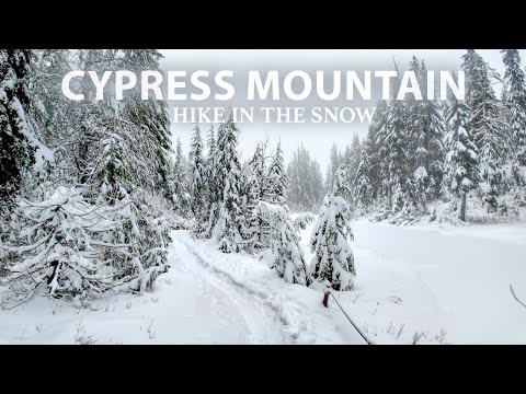 Peaceful Winter Hike at Cypress Mountain: Winter Magic Above Vancouver