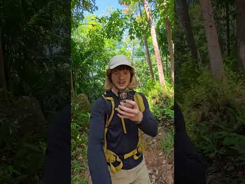 I found something impossible hidden in the jungle of Sri Lanka! 😱 #exploring #adventure #hiking