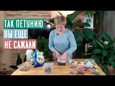 СЕЗОН 2020: Сажаем ПЕТУНИЮ и КАЛИБРАХОА! РЕЗУЛЬТАТ ВАС ПОРАЗИТ/ Садовый гид