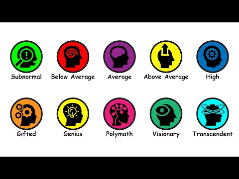 Every Level of Intelligence Explained in 9 Minutes