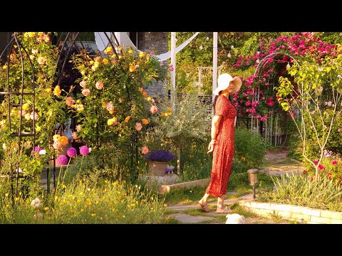 #113. I invite you to my rose garden, where 30 varieties of roses are in full bloom.