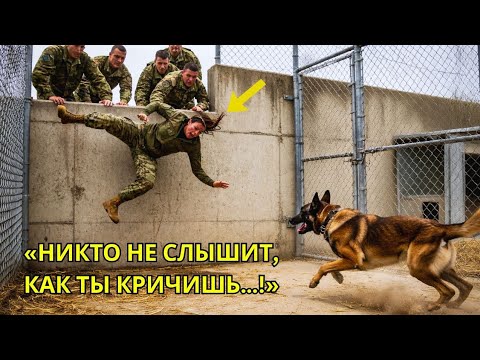 «Её бросили на растерзание в загон с голодными псами — бойцы SEAL не знали, кто она на самом деле»
