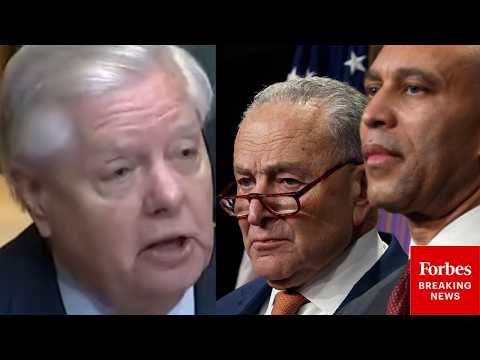 'They Think It's Good!': Lindsey Graham Claims Dems Think 'The More Illegal Immigrants—The Better'