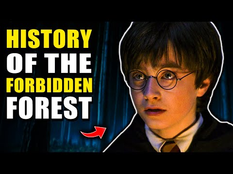 History of the Forbidden Forest - Harry Potter Explained