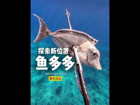 一路向左探索,发现新地方鱼多多。 探索印度洋小岛 014