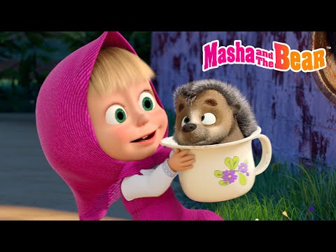 Masha and the Bear 2025 🏡👀 Don't Play Hide and Seek! 🙈🦔 Best episodes cartoon collection 🎬