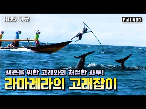 세계 유일! 합법적인 전통식 고래잡이로 생계를 꾸려가는 사람들 | “라마레라의 고래잡이” (KBS 090610 방송)