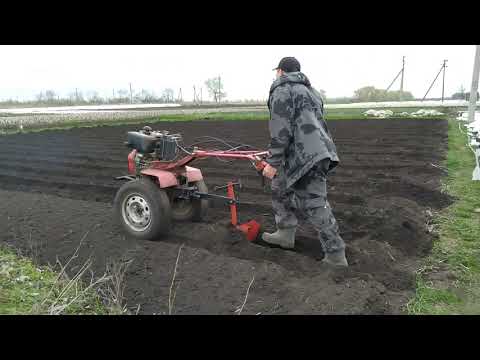 Посадка картофеля под мотоблок 2021.