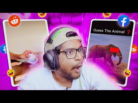 අඩෝ තව පොඩ්ඩෙන් දැනගන් නැතුව චුත වෙනවා !! | The kota