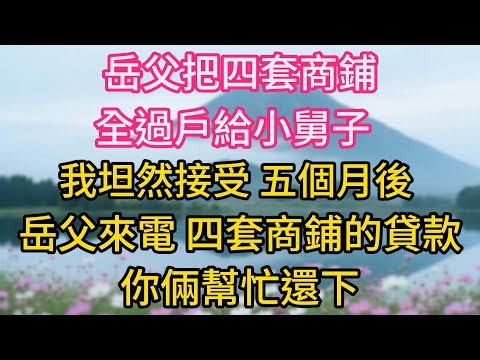 岳父把四套商鋪全過戶給小舅子，我坦然接受。五個月後岳父來電：四套商鋪的 500 萬貸款，你倆幫忙還下。我：不好意思，我們已經離婚了