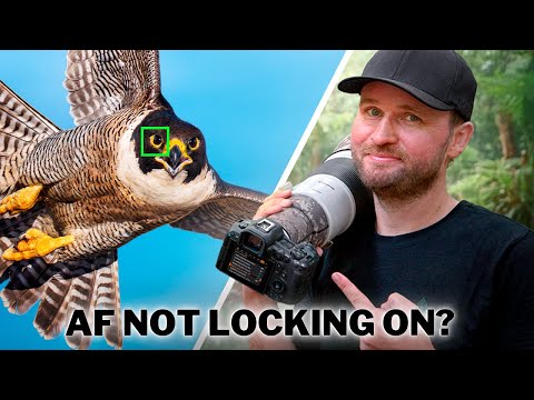 Why Your AUTOFOCUS Lets You Down...And it’s NOT Your Camera!